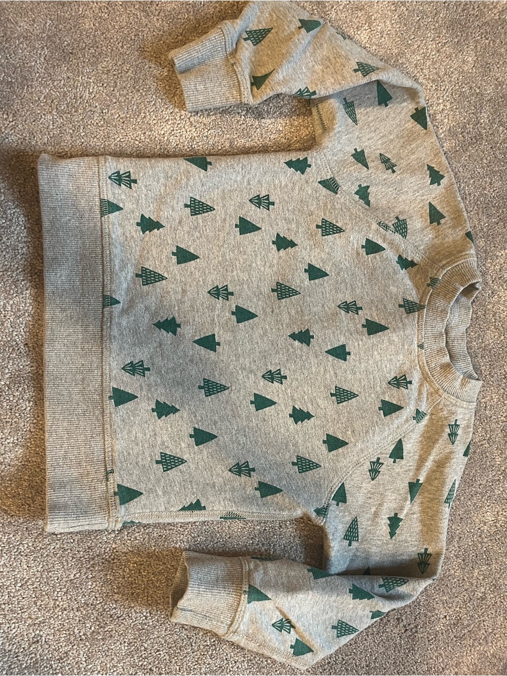 Hanna Andersson Heather Gray Sweatshirt with Dark Green Tree Print